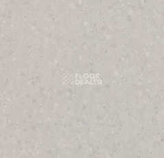 Линолеум Forbo Sphera Element 50028 greige фото 1 | FLOORDEALER